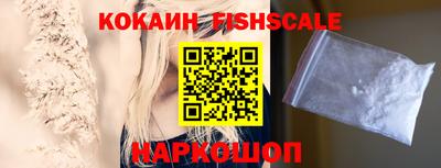 гашик Камышлов