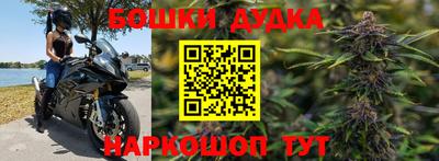 гашик Камышлов