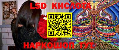 гашик Камышлов