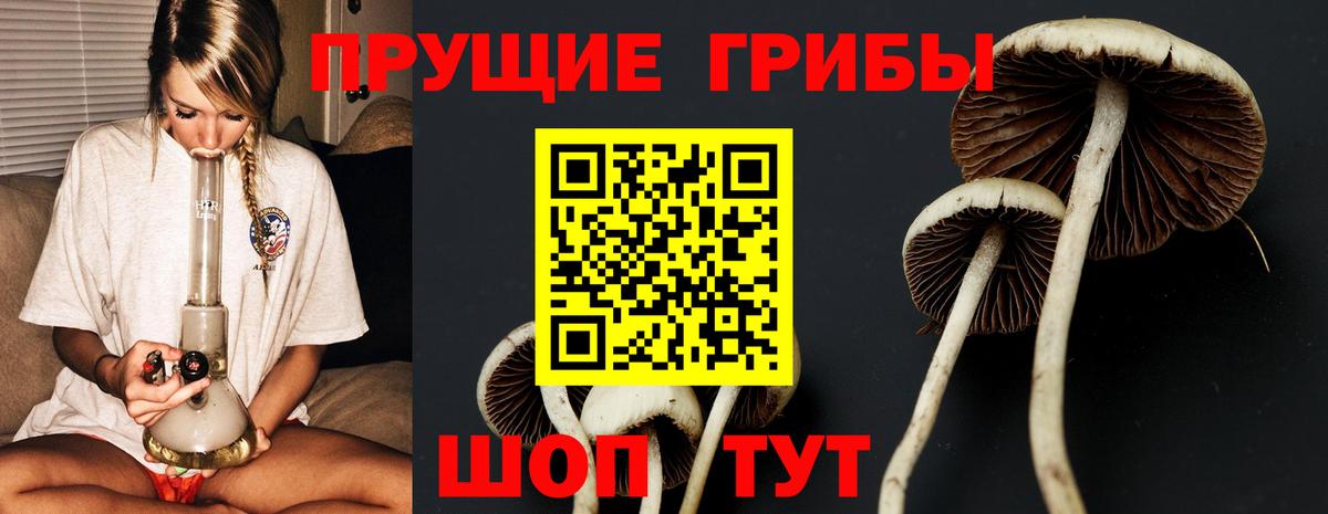 Галлюциногенные грибы прущие грибы Кунгур